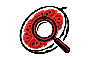 老阿姨免费视频播放 - 吃瓜社Logo